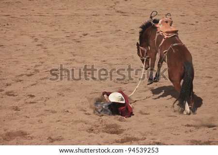 Saddle bronc cowboy bucked off into dirt of rodeo arena in desert Southwest USA/Rodeo Cowboy fallen off Horse onto Ground /Saddle bronc, a rodeo event, in southeastern Arizona of the old Wild West