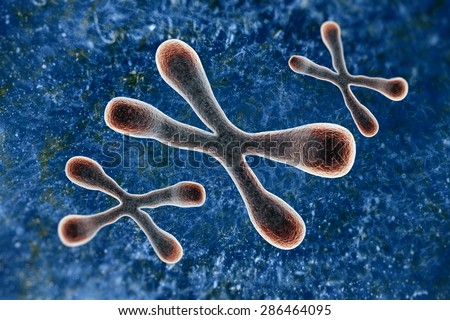 A telomere is a region of the DNA sequence at the end of a chromosome. Their function is to protect the ends of the chromosome from degradating.