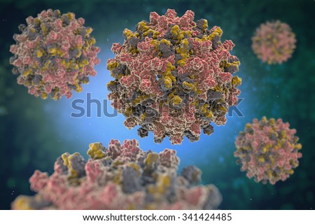 Hepatitis B Virus. Structure of the Hepatitis B virus (HBV) (PDB 1QGT), a species of the genus Orthohepadnavirus, which is part of the Hepadnaviridae family of viruses.