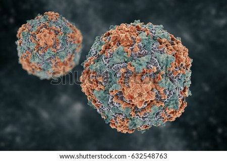 Hepatitis virus. Structure of the hepatitis B virus. 3d illustration.
