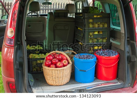Car trunk full of autumn harvest from the forest and garden