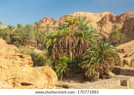 Famous Mountain oasis Chebika in Tunisia, Northern Africa
