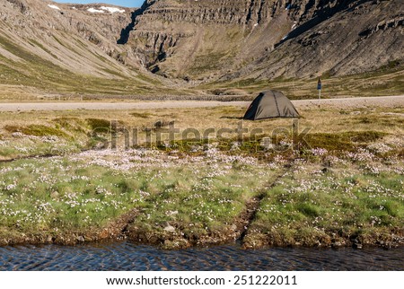 Wild camping under the mighty fjords in the Iceland