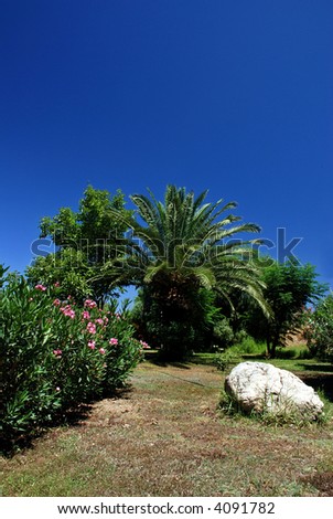 Beautiful tropical garden with many plant species