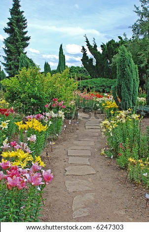 Beautiful botanical garden with daylily, stone path and many plant species