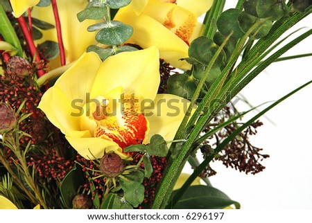 Bunch of orchids with decorative leaves isolated on white