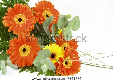 orange flowers bouquet. of orange gerbera flowers