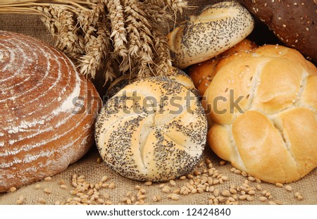 Various fresh baked goods with wheat grain and bundle
