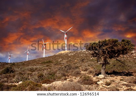 Wind turbines in movement, small tree at a beautiful dramatic sunset