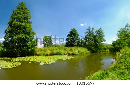 Rural summer landscape with river and green trees - panorama