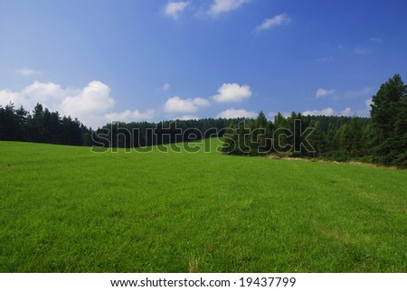 Green meadow between two forest in Tatras, Slovakia
