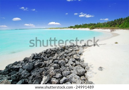 Beautiful Maldivian beach with a blue see, palm groove and stones in the front