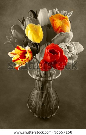 Bunch of beautiful spring flowers - colorful tulips in a vase. Base is black and white, some flowers are unique -  colorful