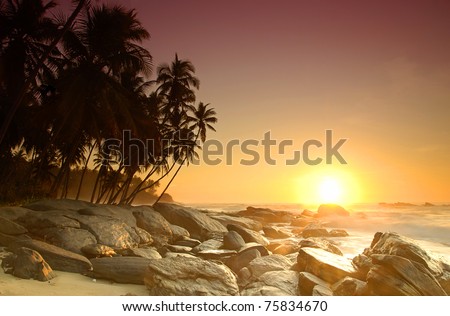 Beautiful colorful sunrise over sea and boulders seen under the palms on Sri Lanka