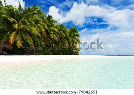 Beautiful tropical paradise in Maldives with coco palms hanging over the white and turquoise sea
