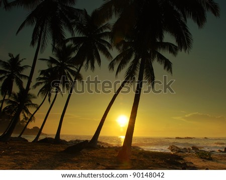 Beautiful colorful sunset over sea and boulders seen under the palms on Sri Lanka