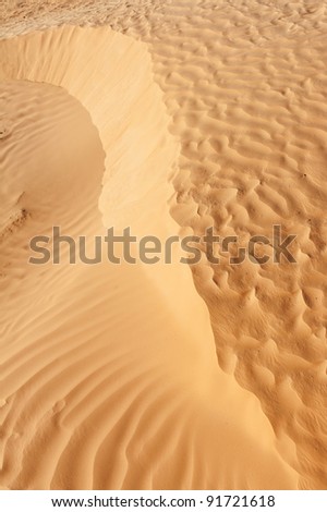 Detail of a beautiful desert sand dune