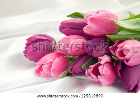 Pink and violet tulips on white silk