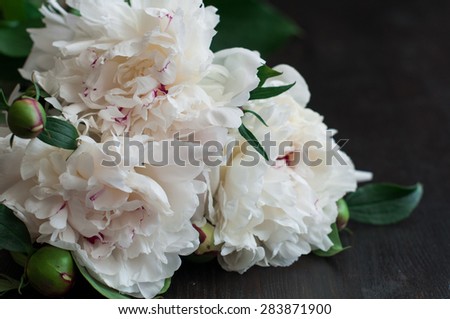fresh white peonies on rustic wooden background