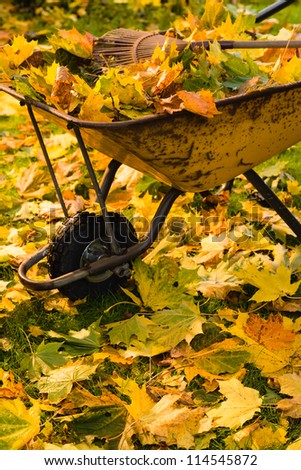 The wheelbarrow is full of a maple leafs, vertical format