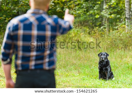 Dog owner trains his labrador retriever, dog sits on background, horizon format