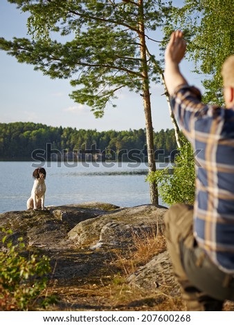 The hunter trains his English Springer Spaniel puppy on the shore