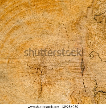 Cut wood background texture with cracks and a central knot