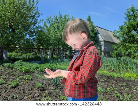 Curious little boy playing with an insect watching it as it crawls on his arm while outdoors in the vegetable garden
