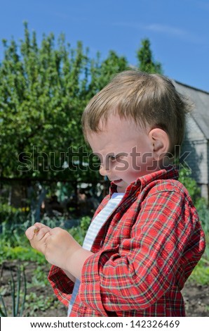 Little boy playing with an insect watching it crawl over his hand as he enjoys himself playing in the garden and learning about nature