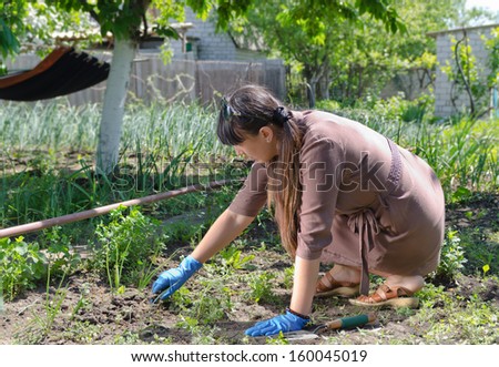 Woman weeding her vegetable garden crouched down in the summer sunshine removing weeds from amongst the vegetable plants