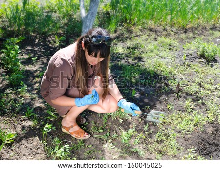 High angle view of a middle-aged woman crouching down weeding her summer vegetable garden