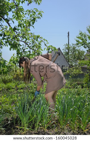 Woman hard at work in the vegetable garden hoeing weeds with a hoe among the neat rows of plants depicting a healthy outdoor lifestyle
