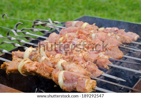Closeup of a row of meat and onion kebabs on metal skewers cooking over a hot barbecue fire