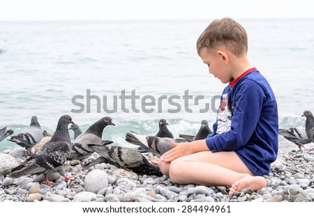 White Young Boy Sitting on the Stones at the Beach While Feeding Plenty of Gray Dove Birds.