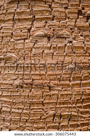 Bark background texture of the rough cracked ridges on a tropical palm tree, full frame vertical orientation
