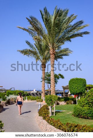 Woman vacationing in a tropical resort walking along paved road past palm trees with her back to the camera as she heads for the beach and ocean