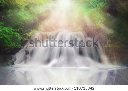 Light andwaterfall in deep forest fantasy dream color