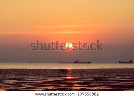 Scenic view of beautiful sunset sea in summer with cargo ship orange ,violet ,blue ,red ,cargo boat so far have seagull bird