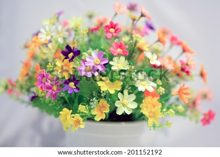 Colorful decoration flower with vase on white backgroundshadow flower. Yellow ,pink ,purple ,green ,orange ,white
