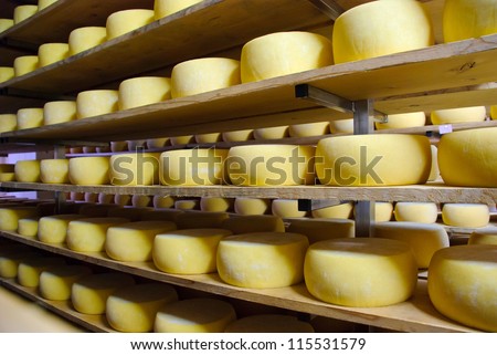 Cheese in storage, Sao Jorge, Azores