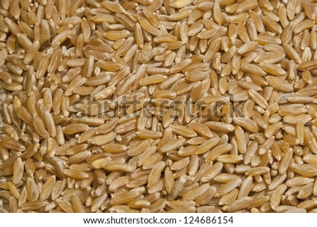Uncoocked raw brown rice