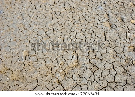 Dry cracked land texture