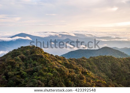 Sunrise over Gunung Brinchang misty jungle in Cameron highlands, Malaysia