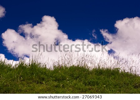 sky grass and clouds