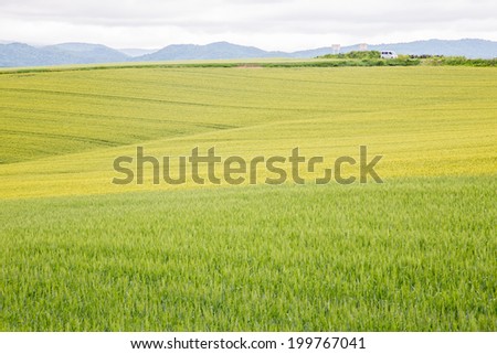Agriculture at remote area, Hokkaido