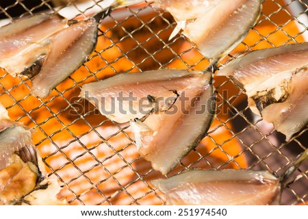 Dried fish and fly on metal net