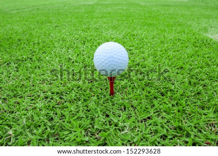 golf ball on a tee in green grass course