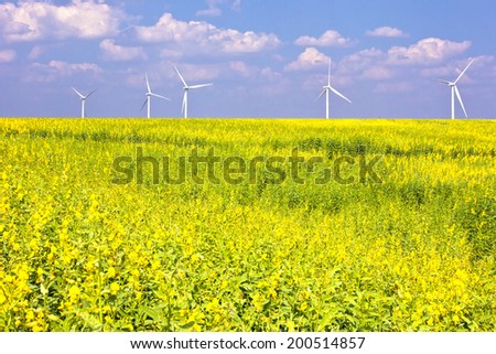 wind turbines in a flower field eco power concept
