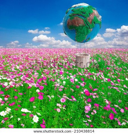 globe hot air balloon basket over cosmos flower field  in ecology concept against blue sky background