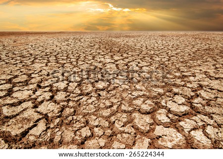 Drought land and cracked earth in sunrise with climate change and global warming